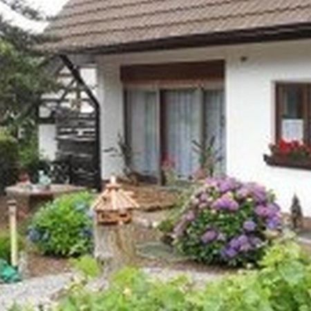 Pension Haus Monika Засбахвальден Экстерьер фото